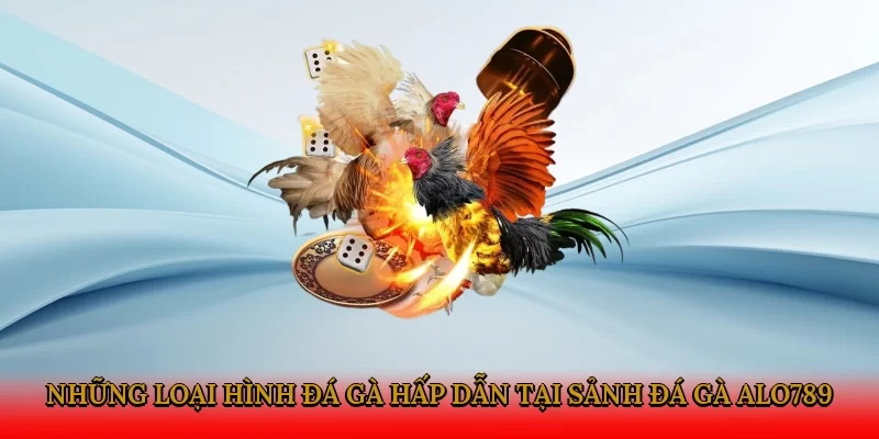 Những loại hình đá gà hấp dẫn tại sảnh đá gà Alo789